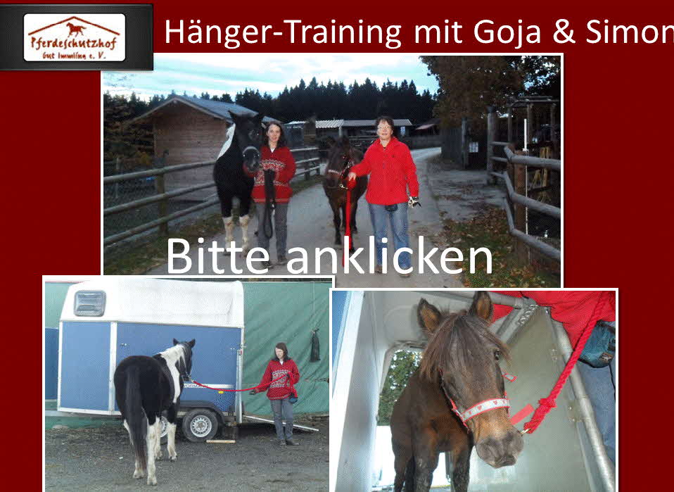 Hänger-Training mit Goja und Simon